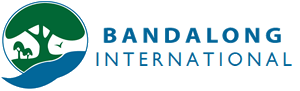 Bandalong International